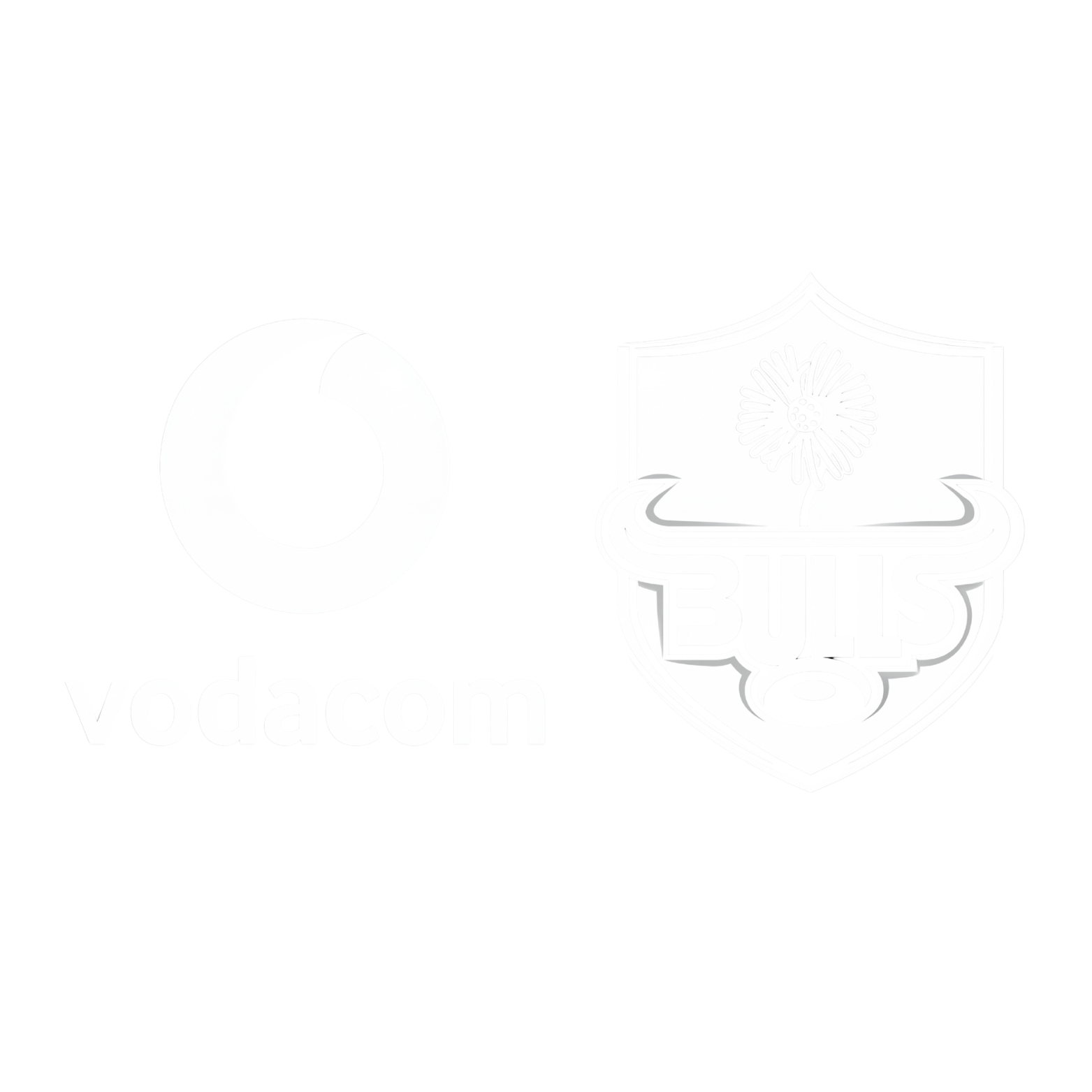 Vodacom Bulls