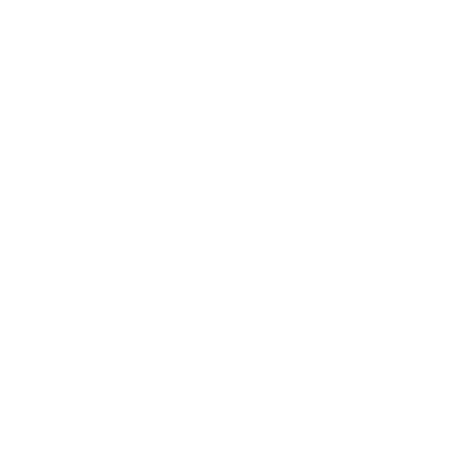 Logo 13